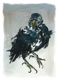 Old Crow III